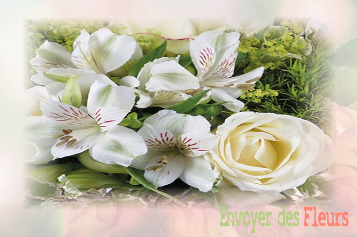 envoyer des fleurs à à VILLIERS-SOUS-GREZ